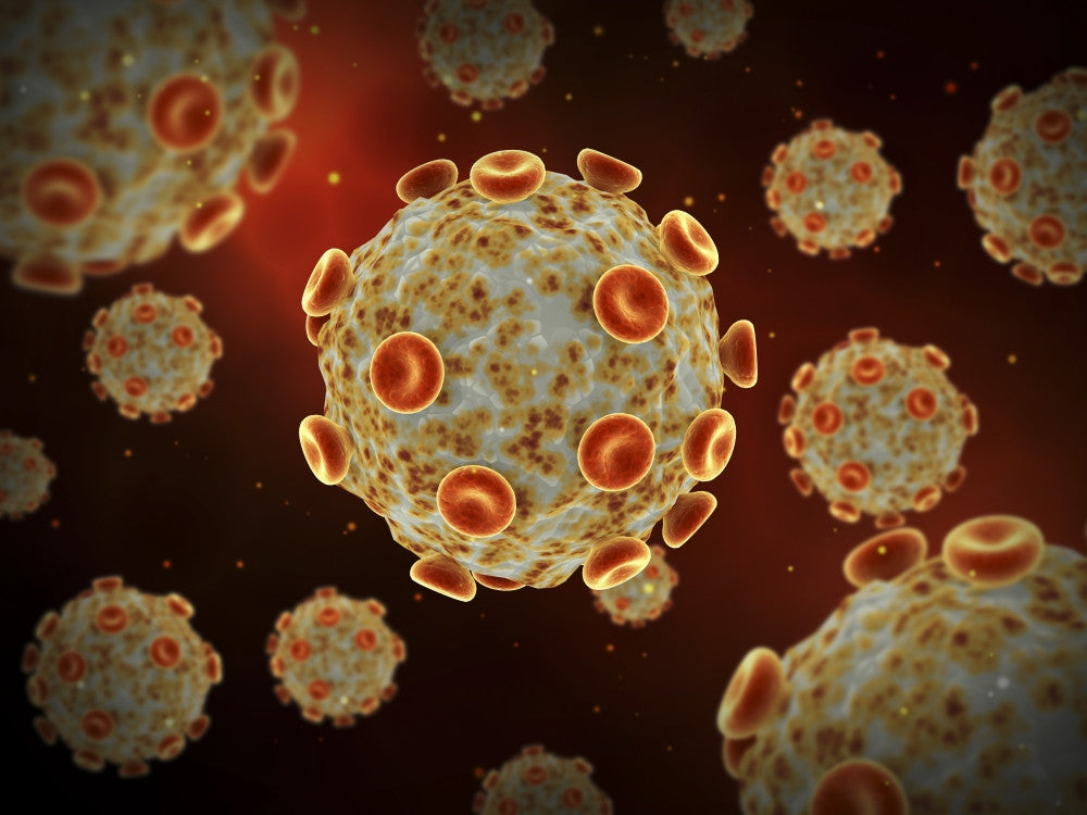 Conceptual Zika Virus Fine Art Print - Multiple Sizes Available