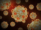 Conceptual Zika Virus Fine Art Print - Multiple Sizes Available