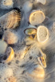 Surf on Seashells on Sanibel Island Fine Art Print by Chuck Haney