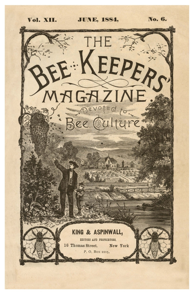 June 1884 Bee Keeping Fine Art Print - Volume 12, Issue 6