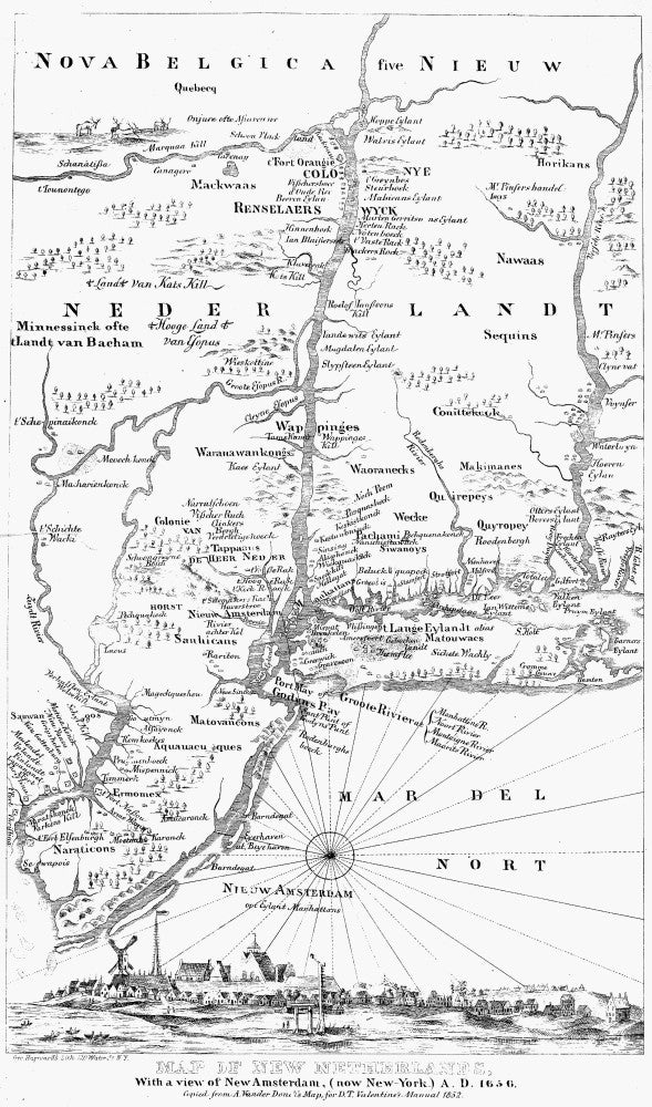 Map of New Netherlands (1656) Fine Art Print | Granger Collection