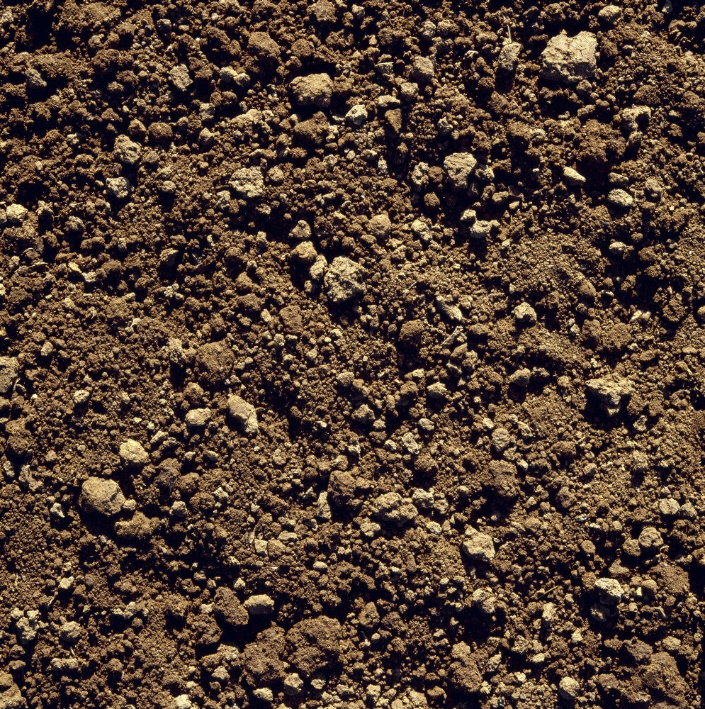 Agricultural Closeup of Clay Soil Fine Art Print - Monterey County, California