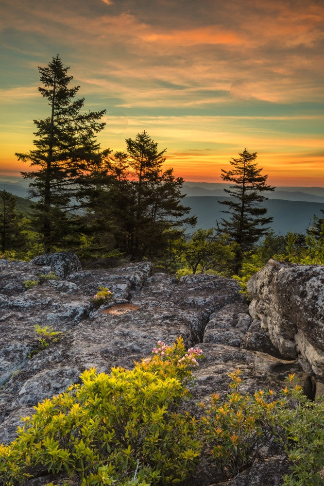 Blackwater Falls State Park Sunset Fine Art Print by Jaynes Gallery