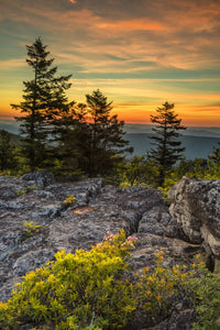 Blackwater Falls State Park Sunset Fine Art Print by Jaynes Gallery