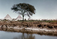 The Nile and Pyramids at Giza Fine Art Print by Granger Collection