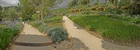 Jardines de Austria Fine Art Print in Parc Guell, Barcelona by Panoramic Images
