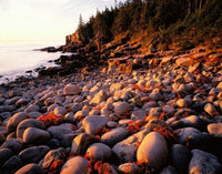 Maine Acadia National Park Photo Print by Panoramic Images (8x10)