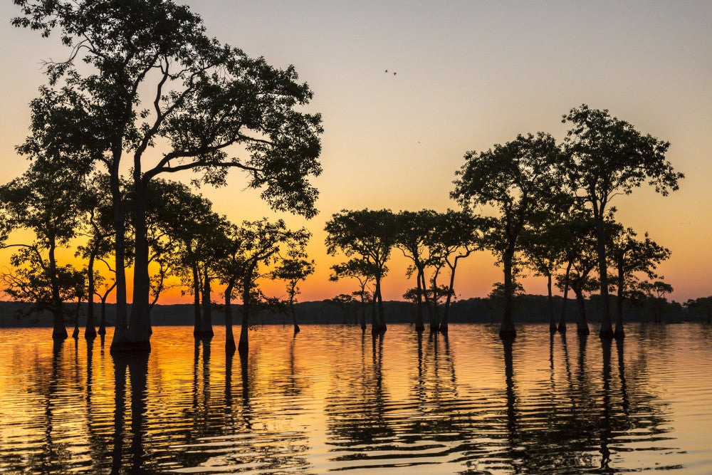 Lake Martin Sunrise Fine Art Print by Jaynes Gallery