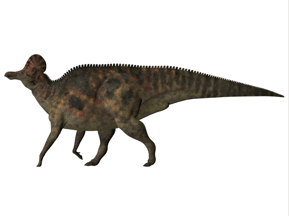 Corythosaurus Duck-Billed Dinosaur Fine Art Print