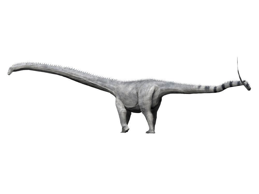 Barosaurus Dinosaur Fine Art Print - Jurassic Period