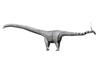 Barosaurus Dinosaur Fine Art Print - Jurassic Period