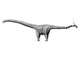 Barosaurus Dinosaur Fine Art Print - Jurassic Period