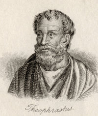 Theophrastus Engraving - Greek Philosopher and Naturalist Print