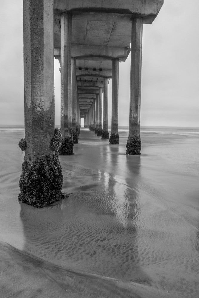USA, California La Jolla Scripps Pier Fine Art Print by Peter Hawkins