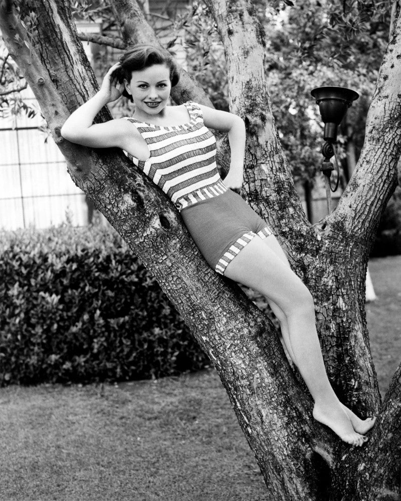 Jeanne Crain Early 1950s Photo Print - Fine Art Print
