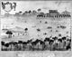 Boston Common 1768 Line Engraving Fine Art Print by Granger Collection