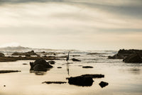 Heron on the Beach Fine Art Print - Maverick's Beach, California