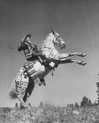 Cowboy Riding a Rearing Horse Fine Art Print