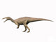 Suchomimus tenerensis Fine Art Print - Early Cretaceous of Niger