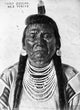Chief Joseph Fine Art Print by E.A. Burbank | Granger Collection