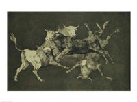 Folly of the Bulls Fine Art Print by Francisco De Goya
