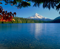 Lake and Mountain Poster Print - Mt. Hood at Lost Lake