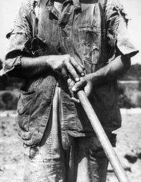 Sharecropper Fine Art Print by Dorothea Lange - 1936