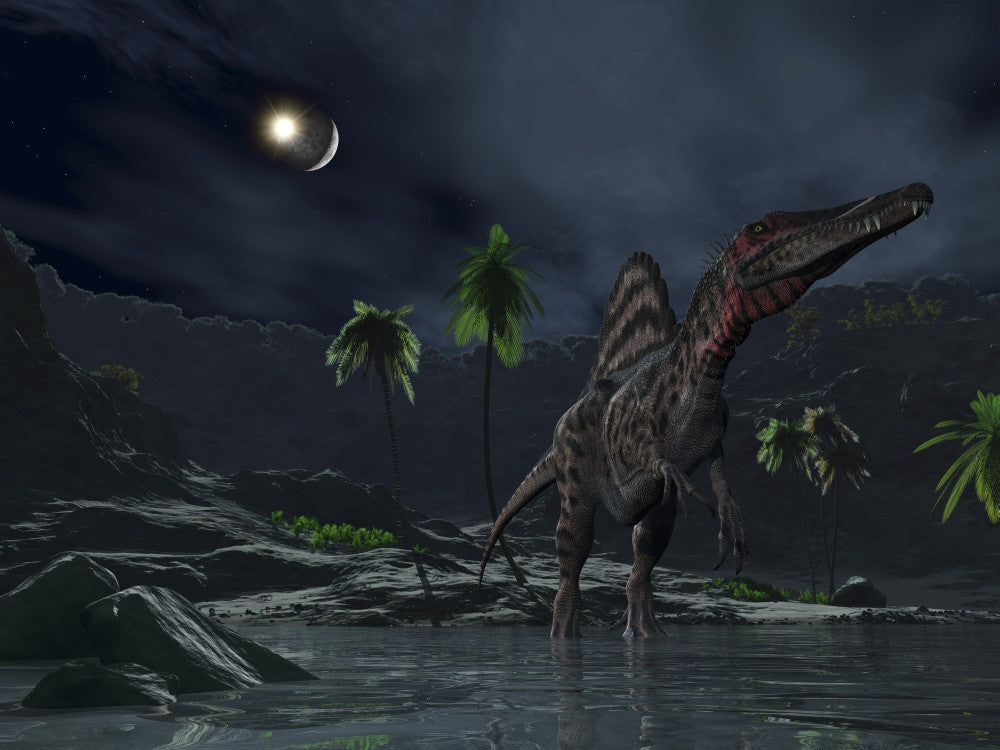 Spinosaurus on Moon with Asteroid Impact Fine Art Print