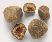 Bezoar Stones Medieval Antidote for Poisoning Fine Art Print