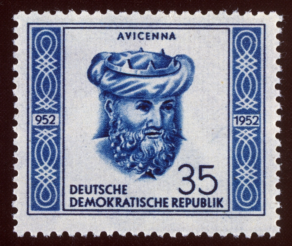 Avicenna (Ibn-Sina) East German Postage Stamp Fine Art Print