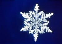 Snowflake Fine Art Print by Panoramic Images (16x12)