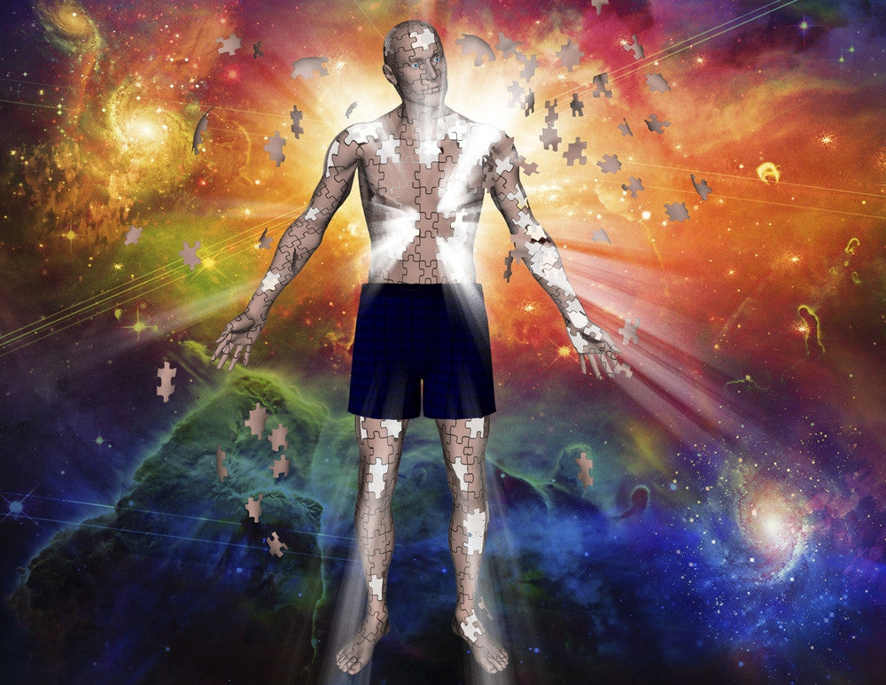 Puzzle Man Fine Art Print by Bruce Rolff | Stocktrek Images