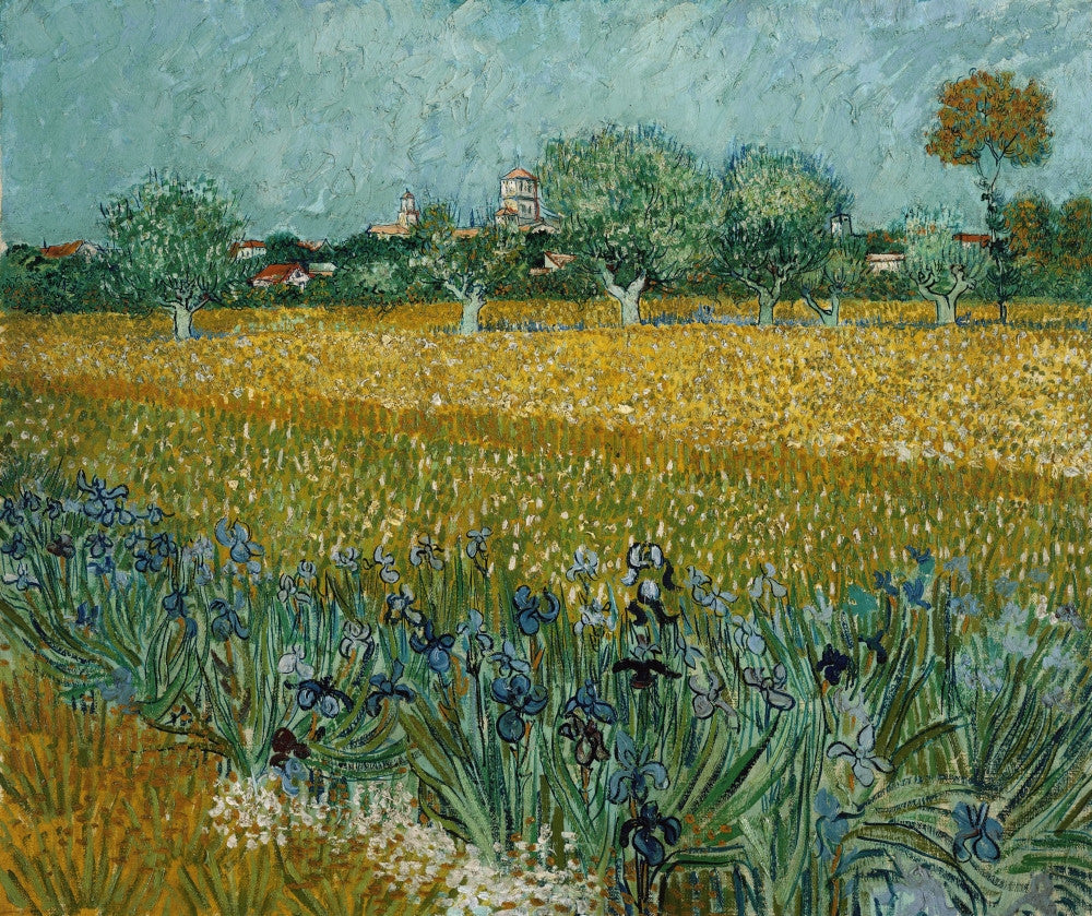 Van Gogh Field with Irises Fine Art Print - May 1888