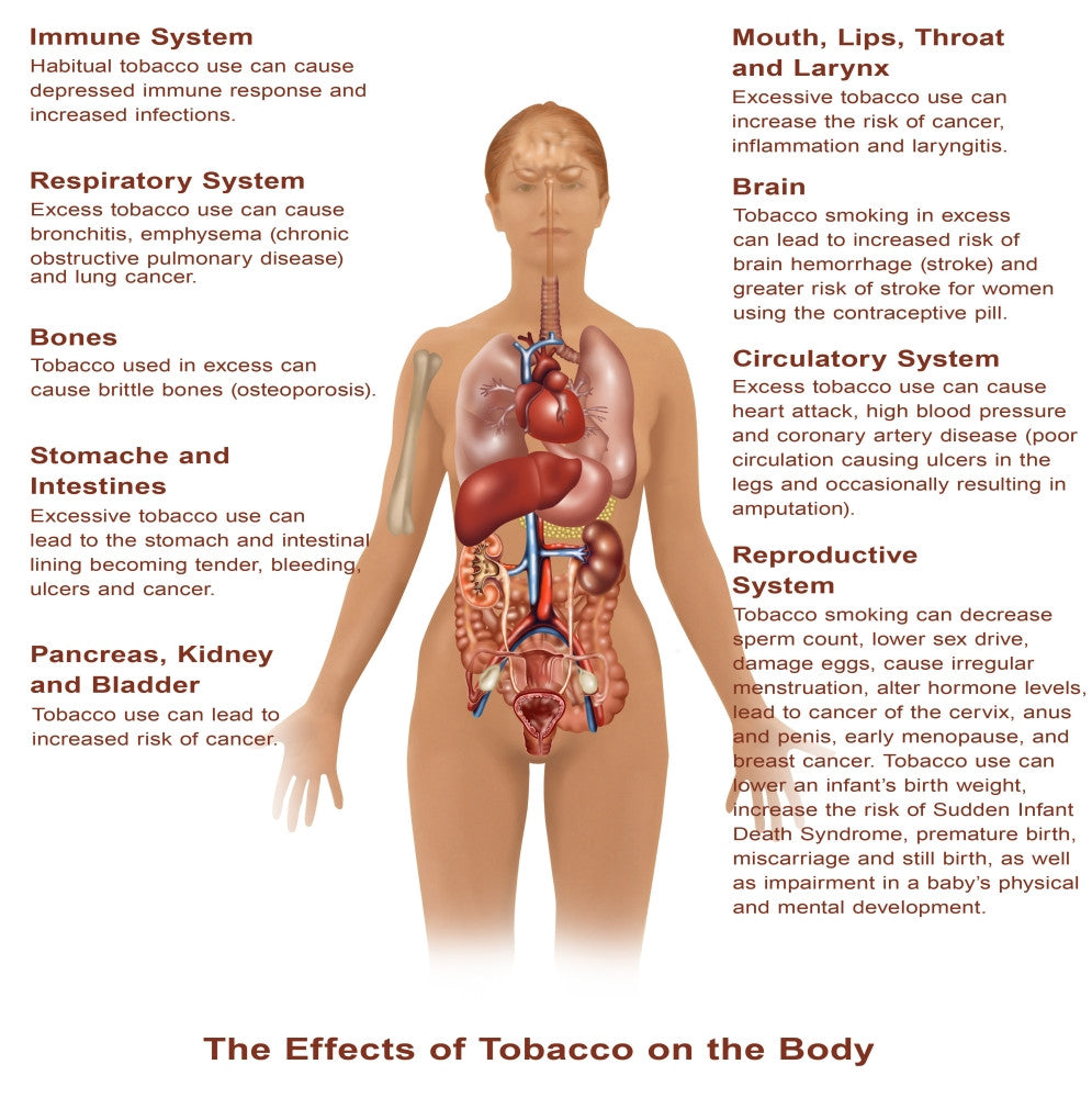 Effects of Tobacco Use Fine Art Print by Gwen Shockey