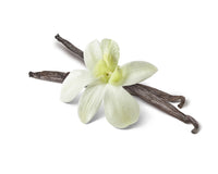 Vanilla Flower and Beans Fine Art Print by Bruno Crescia