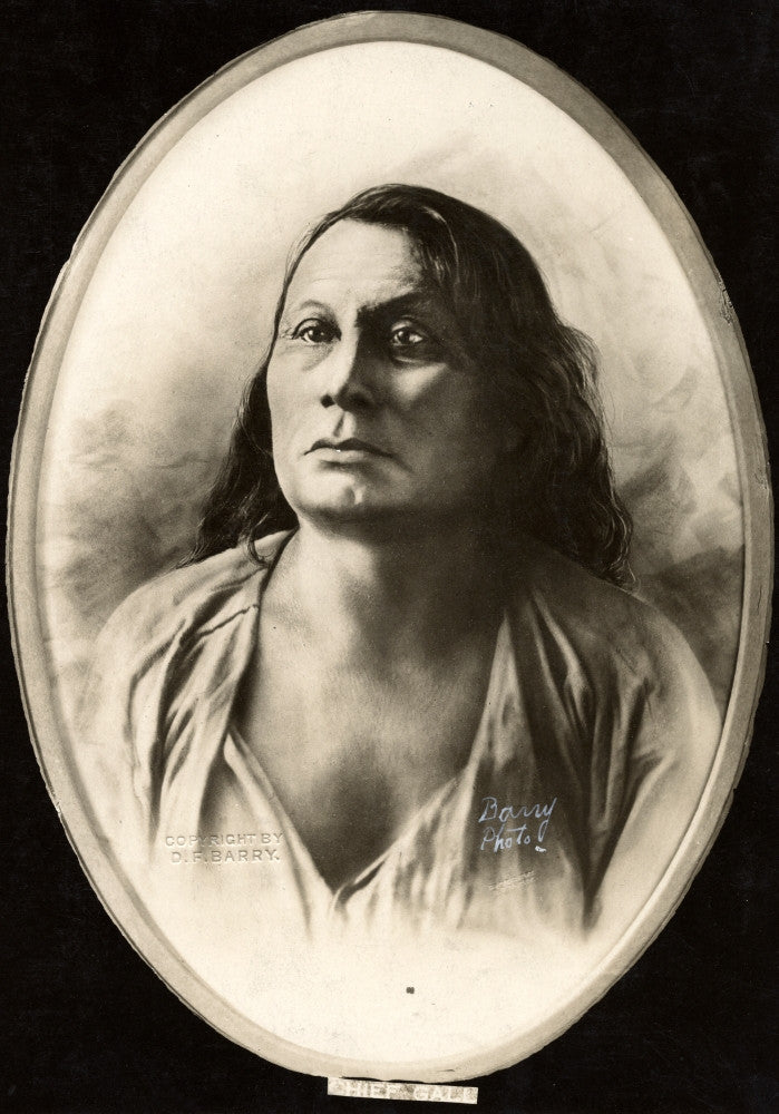 Gall - Native American Sioux Chief Fine Art Print by David F. Barry