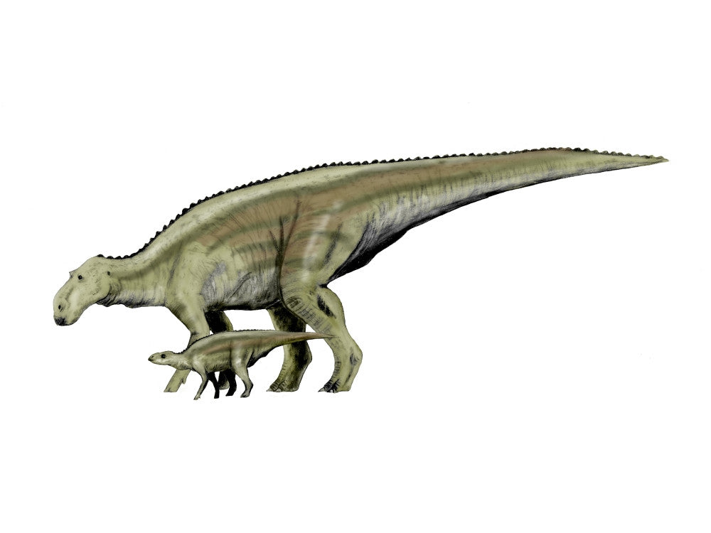 Maiasaura Dinosaur and Offspring Fine Art Print