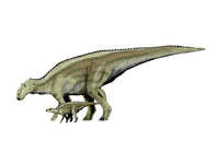 Maiasaura Dinosaur and Offspring Fine Art Print