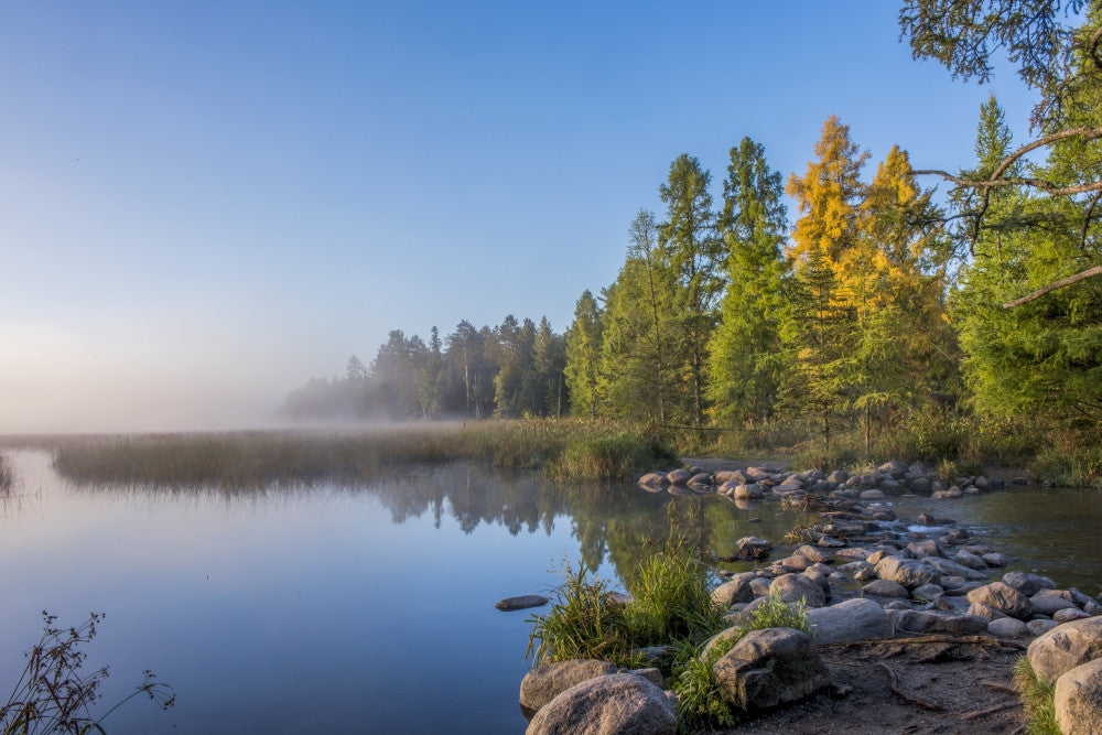 Itasca State Park Fine Art Print by Peter Hawkins
