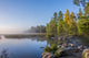 Itasca State Park Fine Art Print by Peter Hawkins