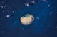 Satellite View of Rocas Atoll in South Atlantic Ocean Fine Art Print