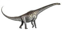 Sauroposeidon Cretaceous Period Dinosaur Poster Print