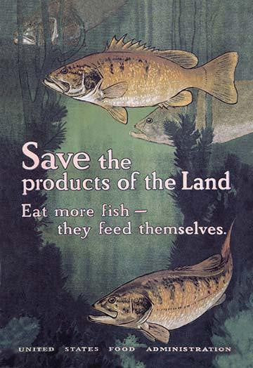 Underwater Scene with Fish - Fine Art Print by Charles Livingston Bull