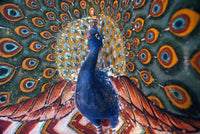 Peacock Sculpture and Wall Painting in Udaipur, India Fine Art Print