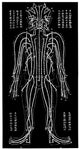 Chinese Acupuncture Chart Fine Art Print by Granger Collection
