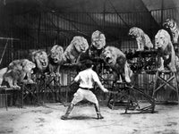 Clyde Beatty Animal Tamer Fine Art Print - 1930s Performance
