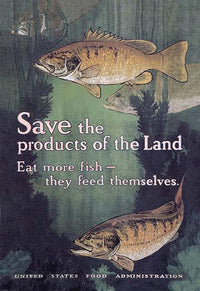 Underwater Scene with Fish - Fine Art Print by Charles Livingston Bull