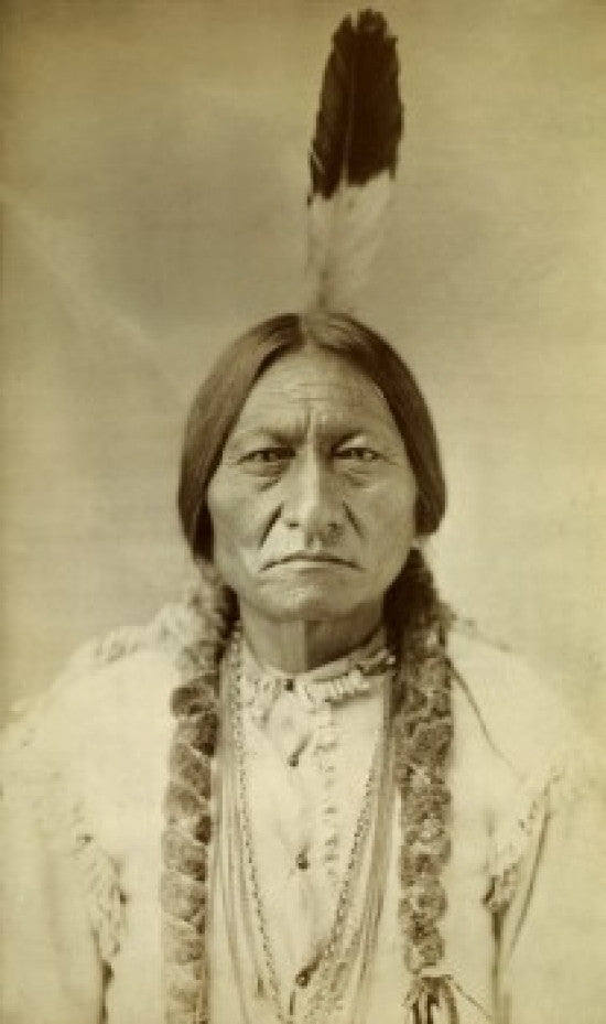 Sitting Bull Fine Art Print - 1885 by D.F. Barry