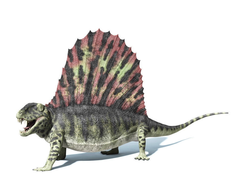 Dimetrodon Dinosaur 3D Rendering Poster Print - Side View