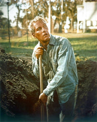 Cool Hand Luke Movie Photo Print showcasing classic cinema.